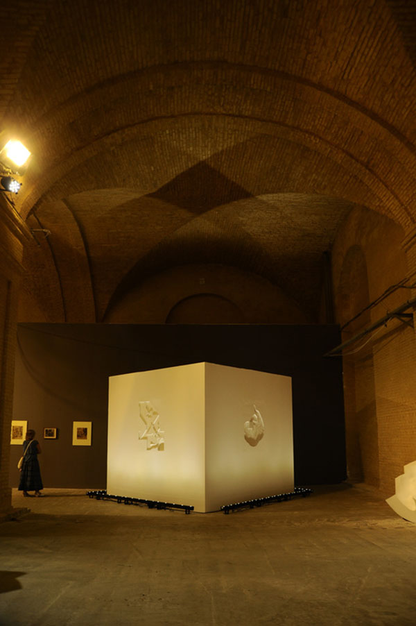 &laquo;Cube&raquo; (polymer materials,  &laquo;Mystetskyi Arsenal&raquo;, Kyiv, 2012)