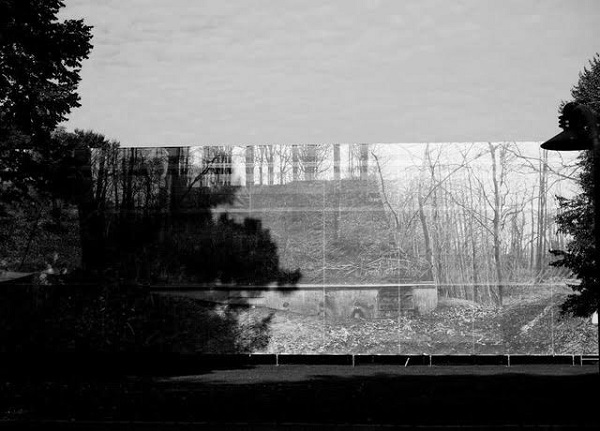 Інсталяція "Природознавство", 2018, фасад будівлі