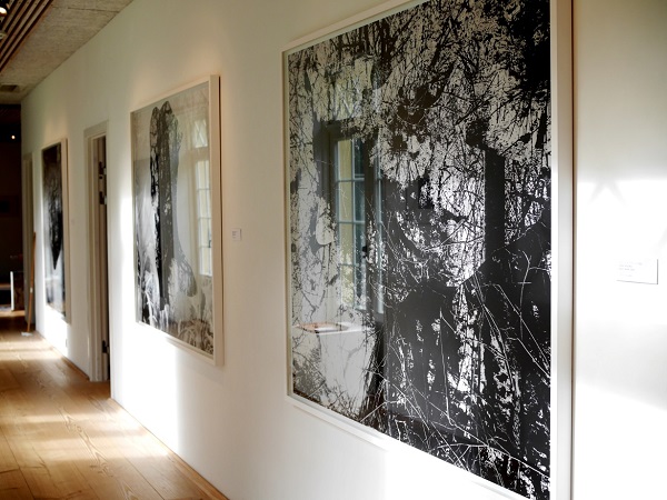 Із серії "Природознавство", 2018