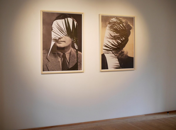 Із серії "Спостереження", 2018